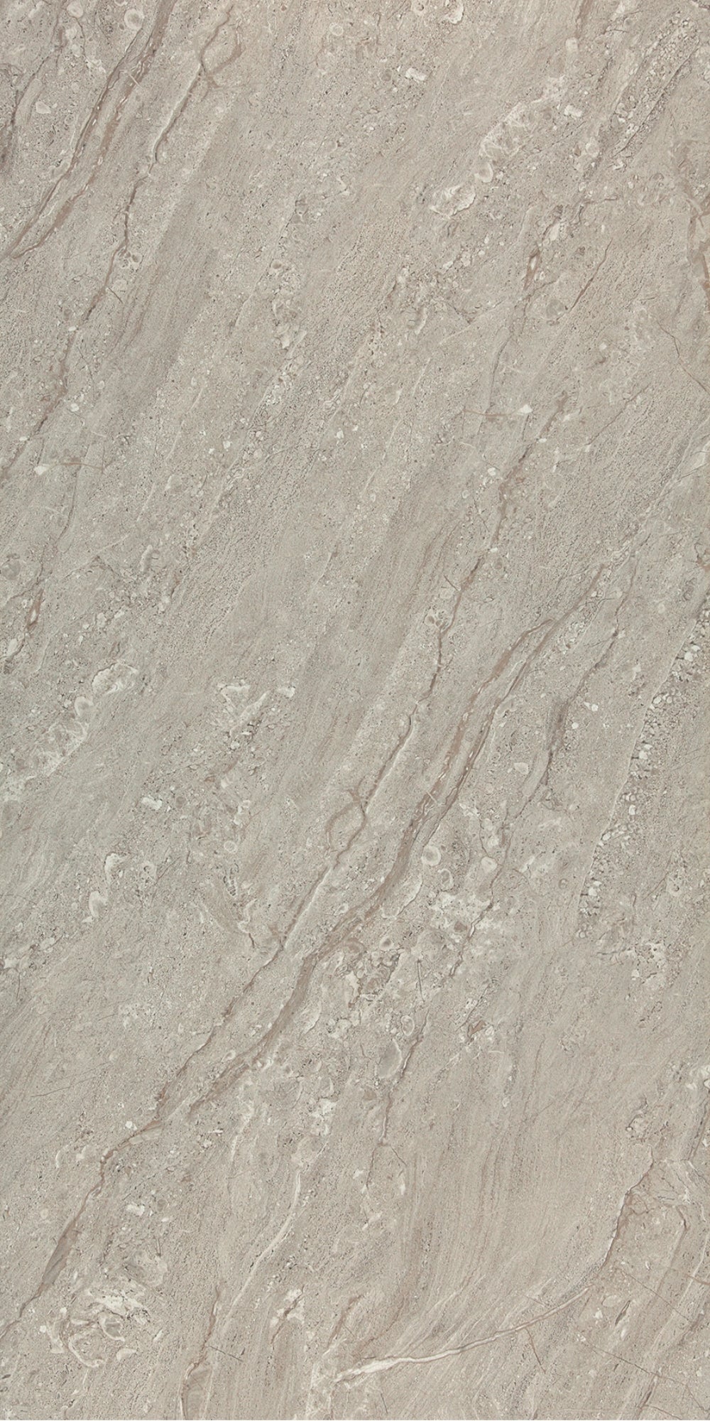 NG Kütahya Seramik Arma Beige, Crème, Grijs 60x120 cm tegel