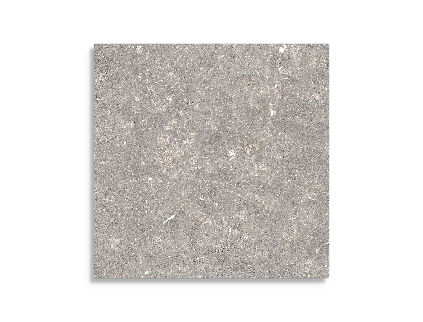 Pamesa Dover Grijs 60x60 cm tegel