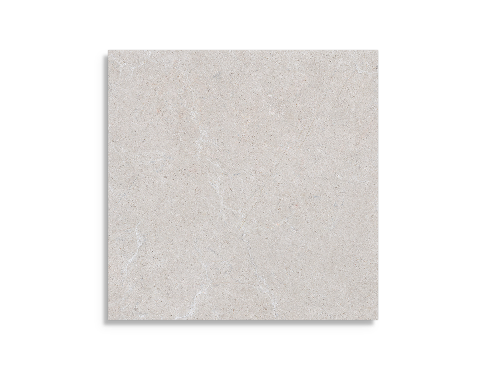 Pamesa Dune Grijs 60x60 cm tegel