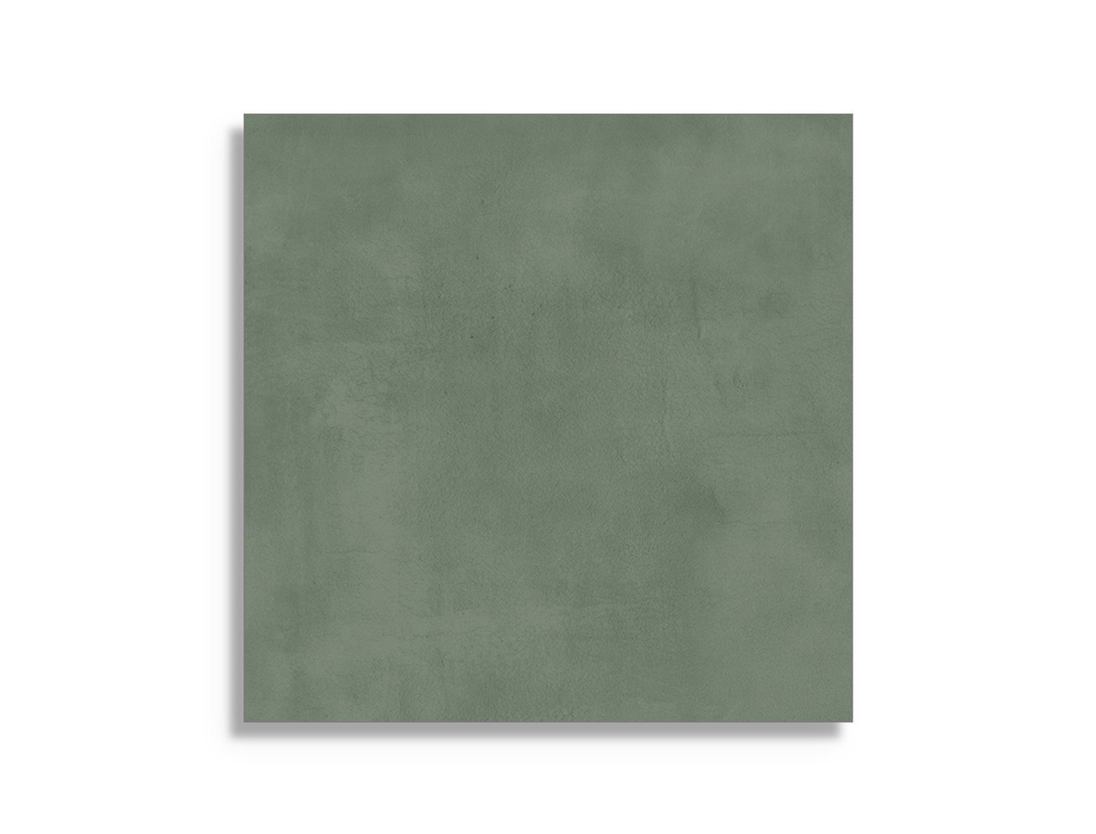 Pamesa Eleganza Groen 60x60 cm tegel