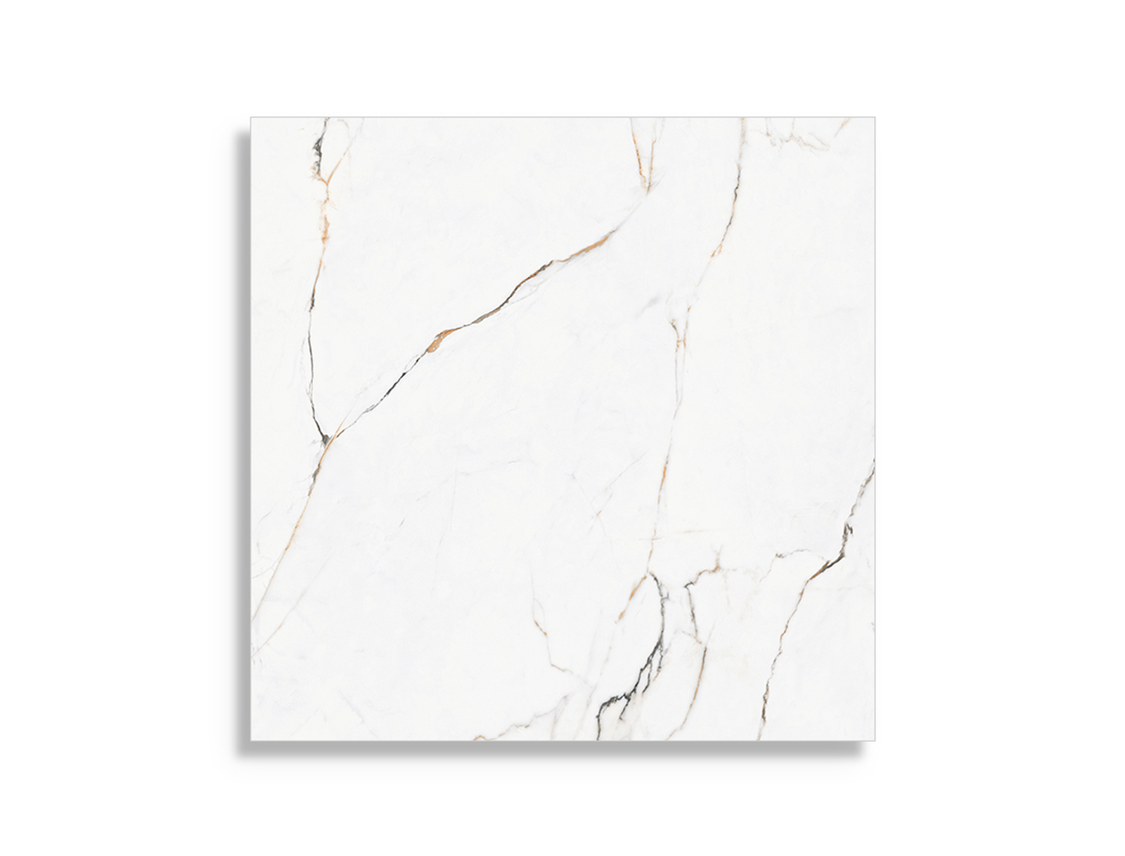 Pamesa Torano Wit 60x60 cm tegel