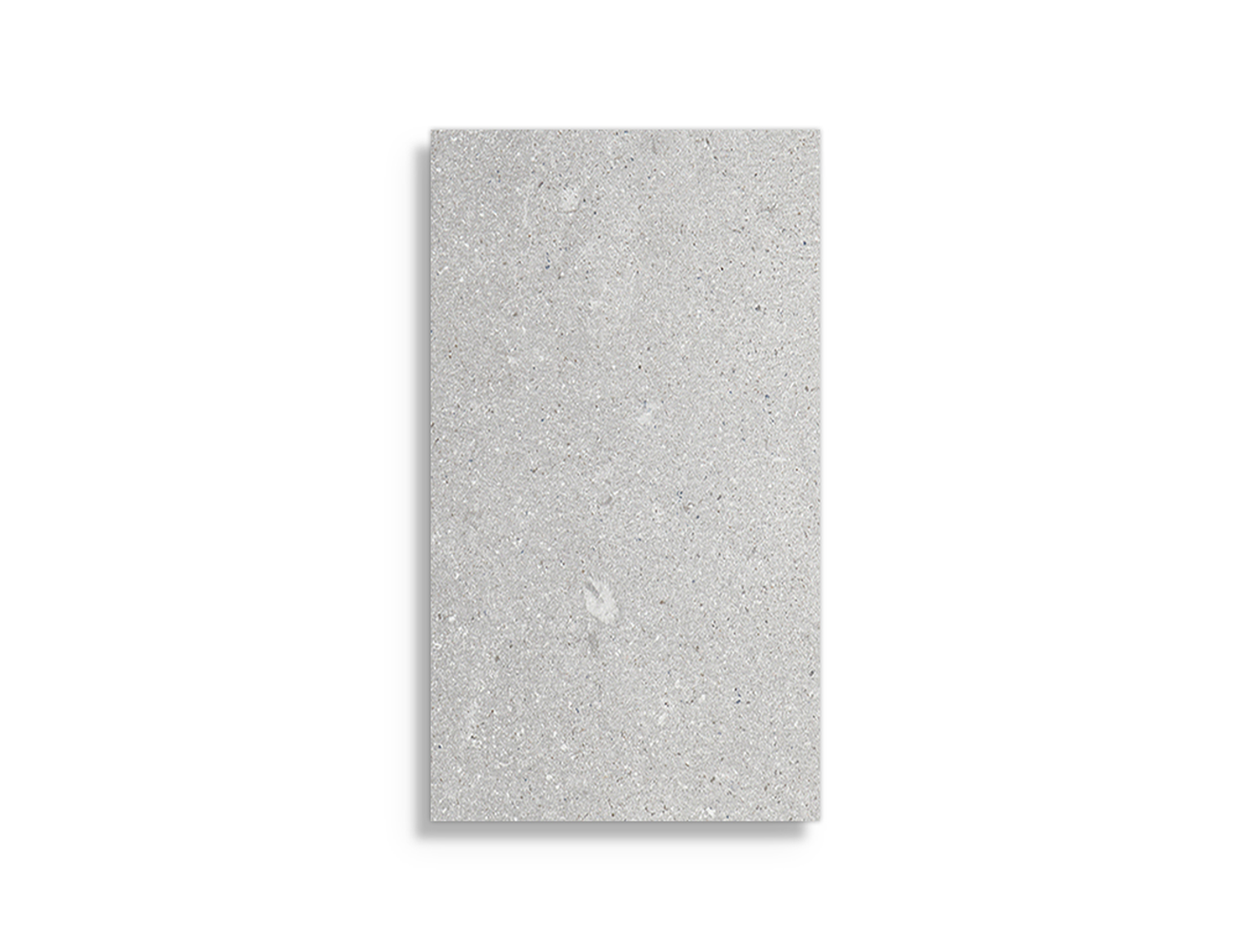 Porcelanosa Dover Grijs 33,3x59,2 cm tegel