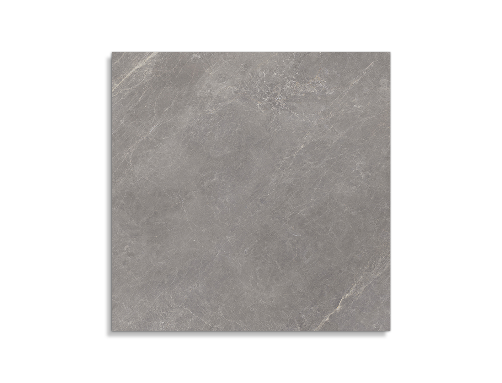 Porcelanosa Mystic Grijs 80x80 cm tegel