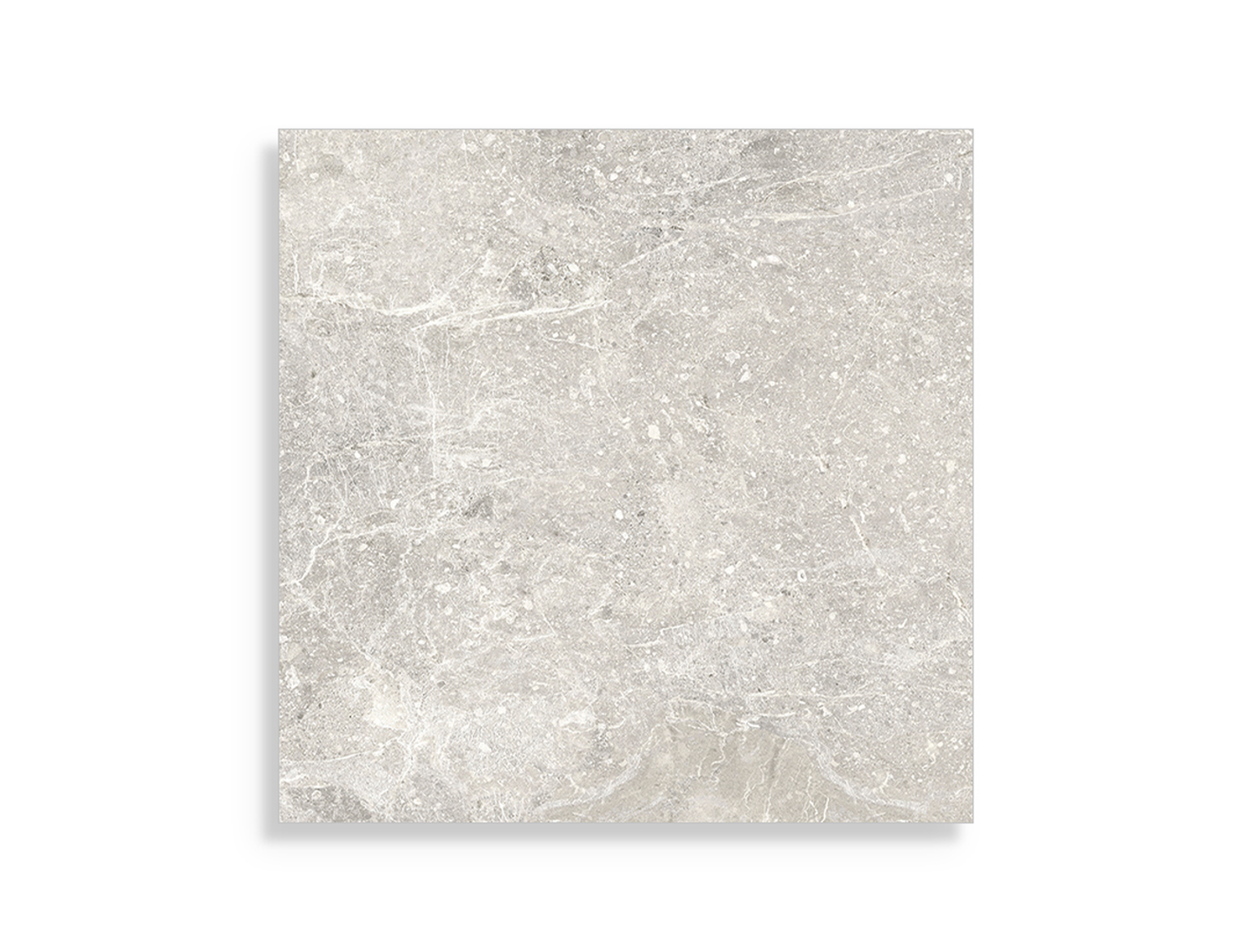 Porcelanosa Noir Beige 59,6x59,6 cm tegel