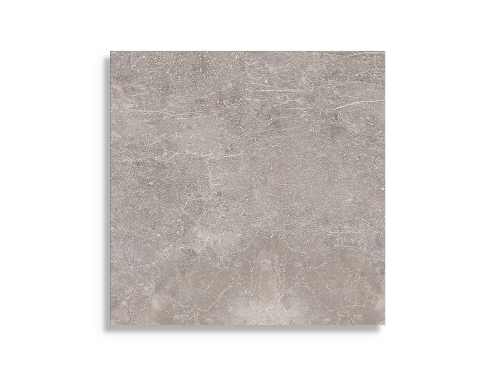 Porcelanosa Noir Grijs 120x120 cm tegel