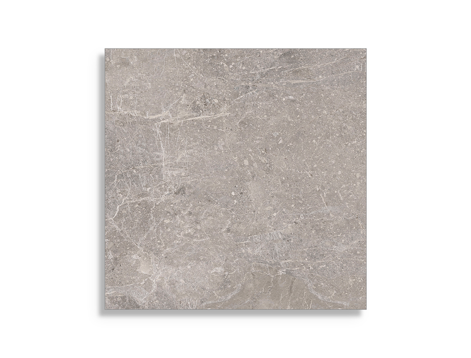 Porcelanosa Noir Grijs 59,6x59,6 cm tegel