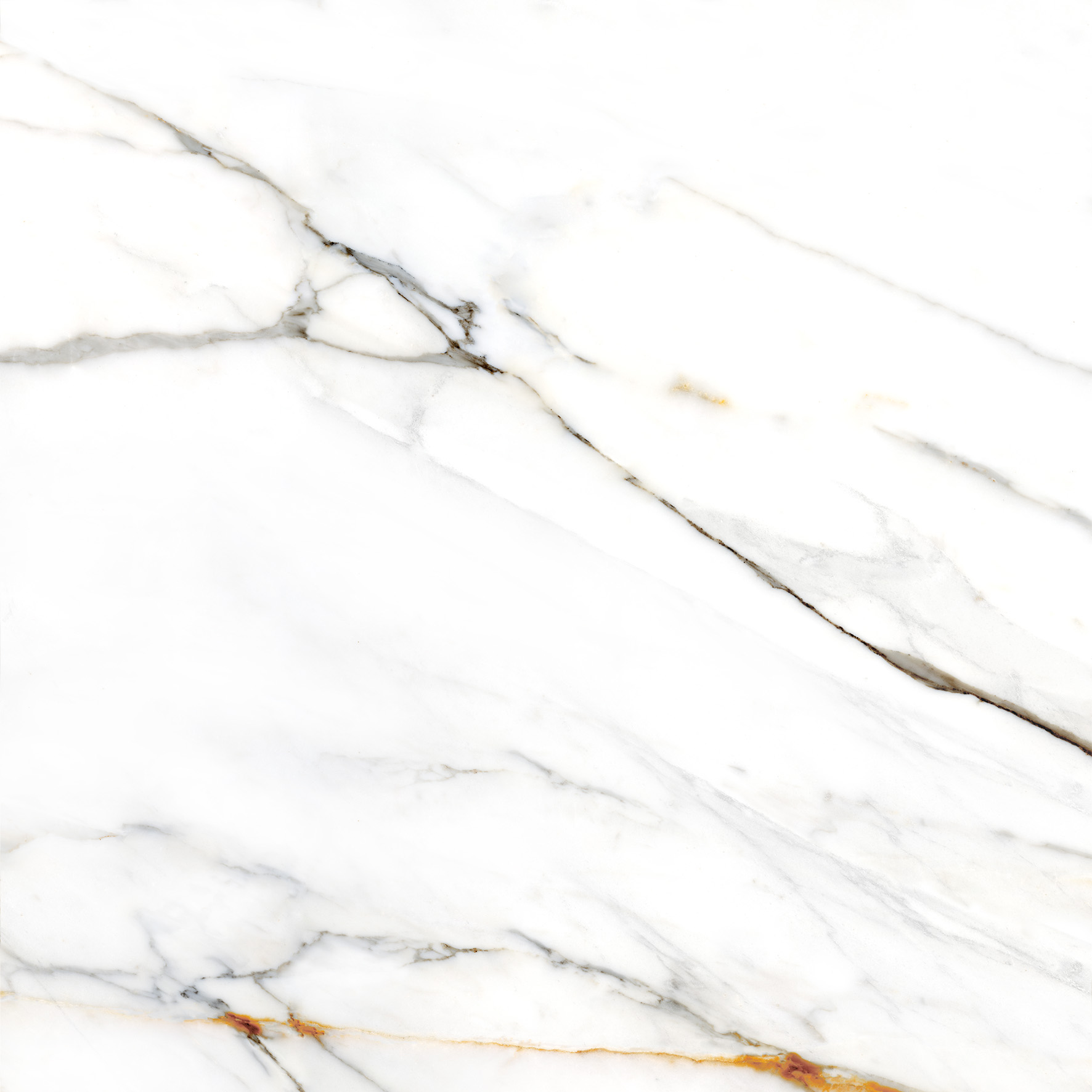 Colorker Calacatta Gold 31,6x100 cm tegel
