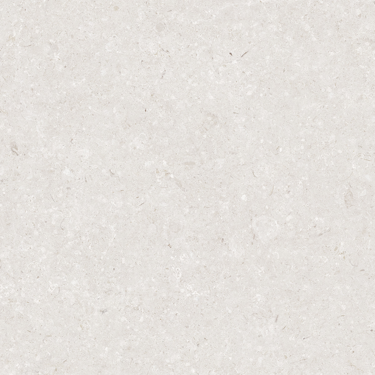 Colorker Pacific 59,5x59,5 cm tegel